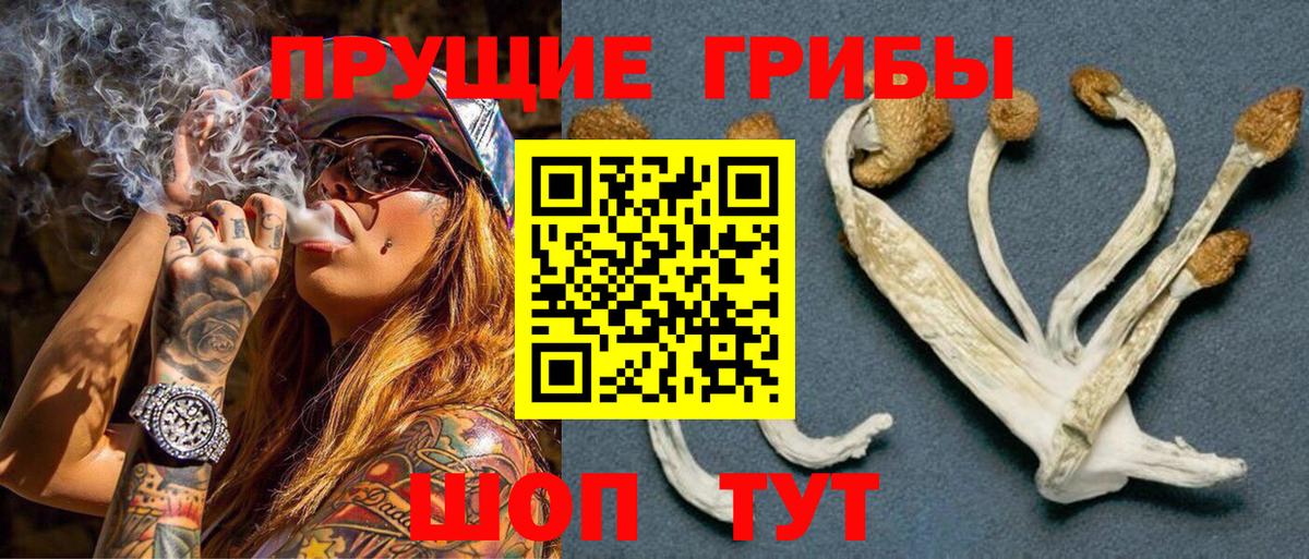 Галлюциногенные грибы Psilocybine cubensis Михайловка