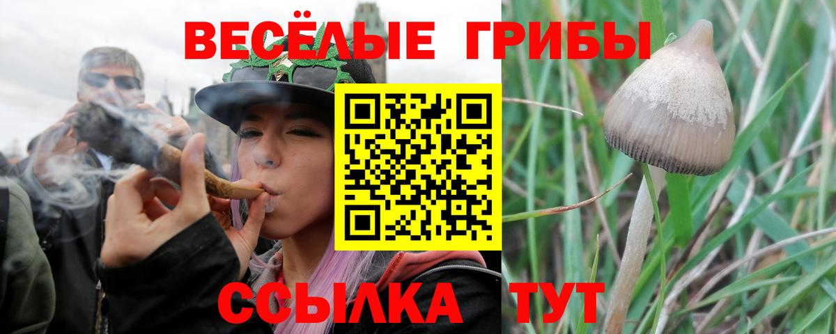 Михайловка  Галлюциногенные грибы мицелий  Галлюциногенные грибы MAGIC MUSHROOMS  Вход с VPN 